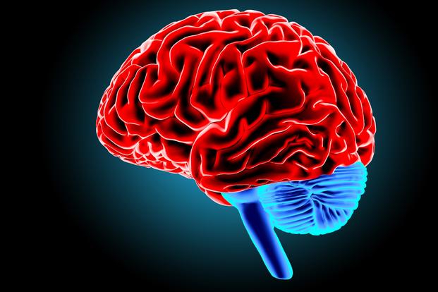 Red 3D rendered human brain with blue cerebellum and brainstem against a dark teal background